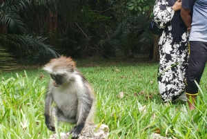 Zanzibar: Jozani-skoven, sommerfuglecenter og Salaam-grottetur