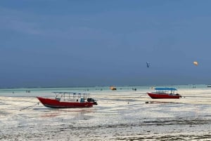 ザンジバル：ジョザニ森林、バタフライ、クザ洞窟、パジェビーチ