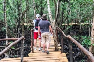 ZANZÍBAR: Bosque de Jozani + mariposas + parque de reptiles y opción de almuerzo