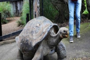 ZANZÍBAR: Bosque de Jozani + mariposas + parque de reptiles y opción de almuerzo