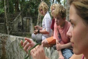 ZANZÍBAR: Bosque de Jozani + mariposas + parque de reptiles y opción de almuerzo