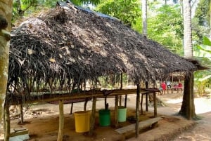 Zanzibar: Jozani-skogen, sommerfugl- og kryddergård med lunsj