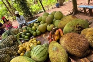 Zanzibar: Jozani-skogen, sommerfugl- og kryddergård med lunsj