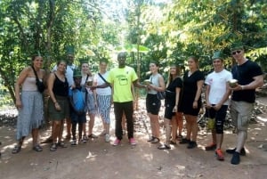 Zanzibar: Jozani-skogen, sommerfugl- og kryddergård med lunsj