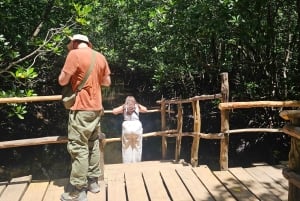 Zanzibar: Jozani-skogen, sommerfugl- og kryddergård med lunsj