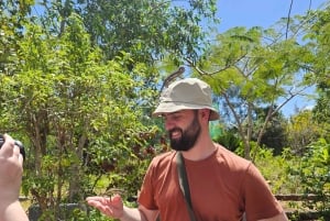 Zanzibar: Jozani-skogen, sommerfugl- og kryddergård med lunsj