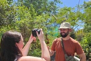 Zanzibar: Jozani-skogen, sommerfugl- og kryddergård med lunsj