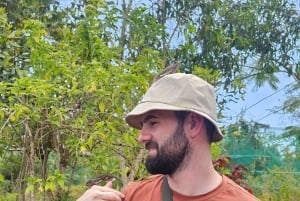 Zanzibar: Jozani-skogen, sommerfugl- og kryddergård med lunsj