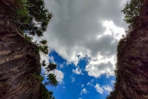 Занзибар: лес Джозани, бабочки, черепахи и пляж Мтенде