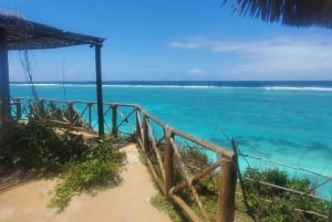 Занзибар: лес Джозани, бабочки, черепахи и пляж Мтенде