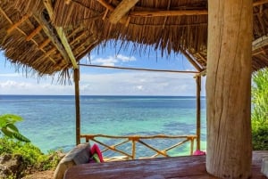 Занзибар: лес Джозани, бабочки, черепахи и пляж Мтенде