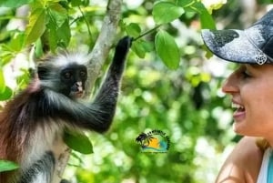 Zanzibar: Guidet tur for bevaring av Jozani-skogen