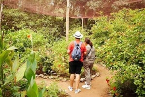 Zanzíbar: Bosque de Jozani, tour por el santuario de mariposas y tortugas