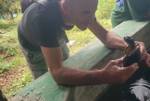 Zanzíbar: Bosque de Jozani, tour por el santuario de mariposas y tortugas