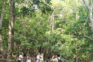 ザンジバル：ジョザニの森、巨大カメ、ムテンデビーチのツアーをご案内いたします