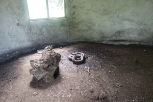 ザンジバル：ジョザニの森、巨大カメ、ムテンデビーチのツアーをご案内いたします