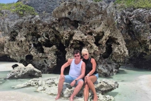 ザンジバル：ジョザニの森、巨大カメ、ムテンデビーチのツアーをご案内いたします