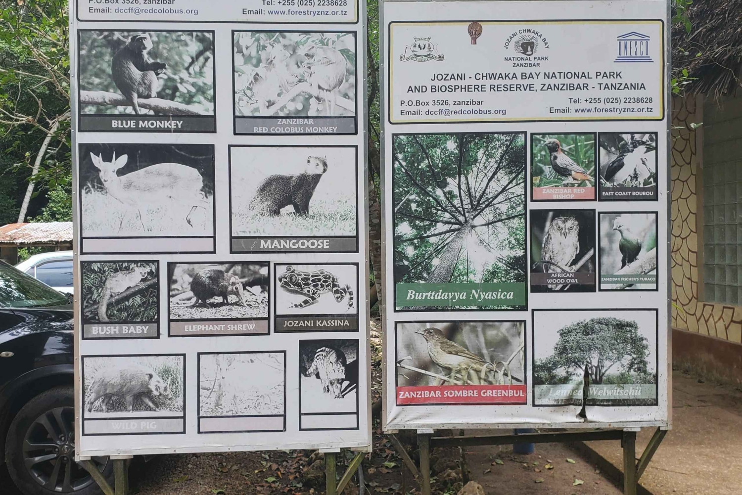 Zanzibar: Jozani forest & Giant Tortoises Sanctuary day tour