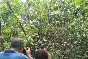 Zanzibar: Jozani forest & Giant Tortoises Sanctuary day tour