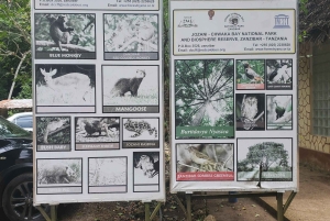 Zanzibar: Jozani forest & Giant Tortoises Sanctuary day tour