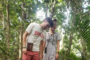 Zanzibar: Jozani forest & Giant Tortoises Sanctuary day tour