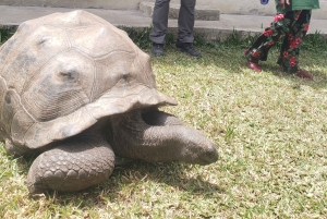 Zanzibar: Jozani forest & Giant Tortoises Sanctuary day tour