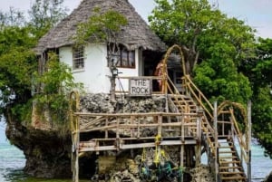 ZANZÍBAR: tour guiado por el bosque de Jozani y restaurante The Rock
