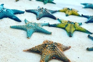 Zanzibar : visite privée de la forêt de Jozani, de Kuza et du Blue Lagoon