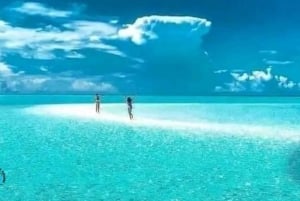 Zanzibar: Jozani Forest, Kuza Cave & Blue Lagoon | Full day
