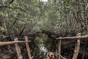 Zanzibar: Jozani Forest, Kuza Cave & Blue Lagoon | Full day