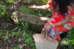 Zanzibar: Jozani Forest, Kuza Cave & Blue Lagoon | Full day