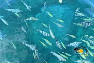 Zanzibar: Jozani Forest, Kuza Cave & Blue Lagoon | Full day