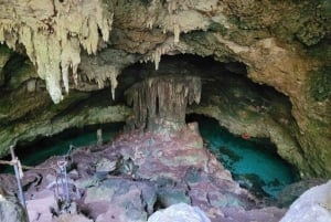 Zanzibar: scopri la foresta di Jozani, la grotta di Kuza, la spiaggia di Paje e The Rock