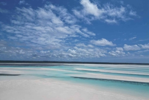 Zanzibar: scopri la foresta di Jozani, la grotta di Kuza, la spiaggia di Paje e The Rock