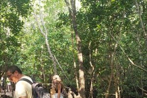 Zanzibar: Floresta Jozani, Caverna Kuza, Praia de Paje e The Rock