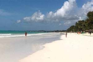 Zanzibar: Floresta Jozani, Caverna Kuza, Praia de Paje e The Rock