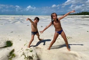 Zanzibar: Floresta Jozani, Caverna Kuza, Praia de Paje e The Rock