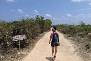 Zanzibar: Floresta Jozani, Caverna Kuza, Praia de Paje e The Rock