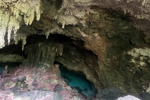 Zanzibar: Floresta Jozani, Caverna Kuza, Praia de Paje e The Rock