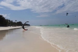 Zanzibar: Floresta Jozani, Caverna Kuza, Praia de Paje e The Rock