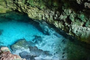 Zanzibar: Floresta Jozani, Caverna Kuza, Praia de Paje e The Rock