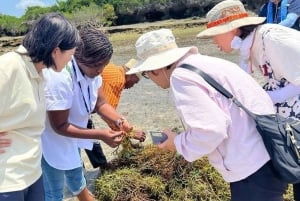 Zanzibar: Floresta Jozani, Caverna Kuza, Praia de Paje e The Rock