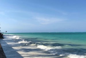 Zanzibar: Floresta Jozani, Caverna Kuza, Praia de Paje e The Rock