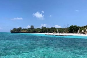 Zanzibar: Floresta Jozani, Caverna Kuza, Praia de Paje e The Rock