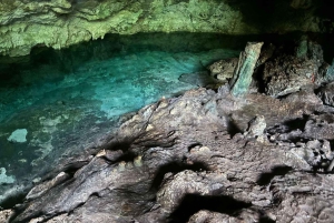 Zanzibar: floresta de Jozani, gruta de Kuza e tour pelo restaurante Rock