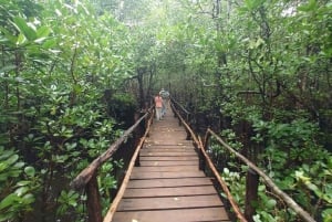 Zanzibar: floresta de Jozani, gruta de Kuza e tour pelo restaurante Rock