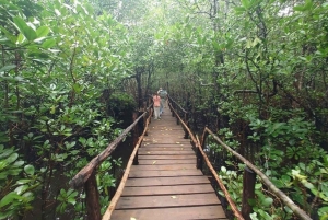 Zanzibar: Jozani-skoven, Kuza-grotten og Rock-restauranten