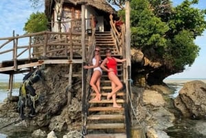 ザンジバル：ジョザニの森、クザの洞窟、ロックレストランのツアーをご案内いたします