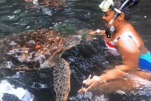 ザンジバル：ジョザニの森、クザの洞窟、ロックレストランのツアーをご案内いたします