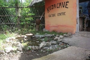 Zanzibar: las Jozani + wizyta w jaskini Kuza i wycieczka po plaży Paje